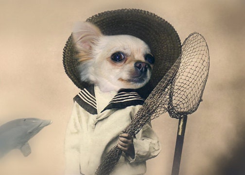 Captain Tim - Vintage Dog 5x7 Print - Altered Photo - Anthropomorphic - Whimsical Art - Photo Collage -  Funny Animal Print - Fisherman Gif
