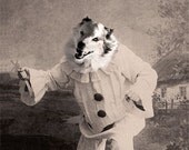 Fang - Vintage Dog 5x7 Print - Altered Photo - Anthropomorphic - Whimsical Art - Photo Collage -  Funny Animal Print - Wolf - Gift Idea