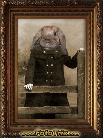 Phoebe 5x7 Vintage Rabbit Print - Anthropomorphic - Altered Photo - Animal Print - Gift Idea - Photo Collage Art - Whimsical Art - Fantasy