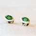 Koopa Super Mario Nintendo Earrings