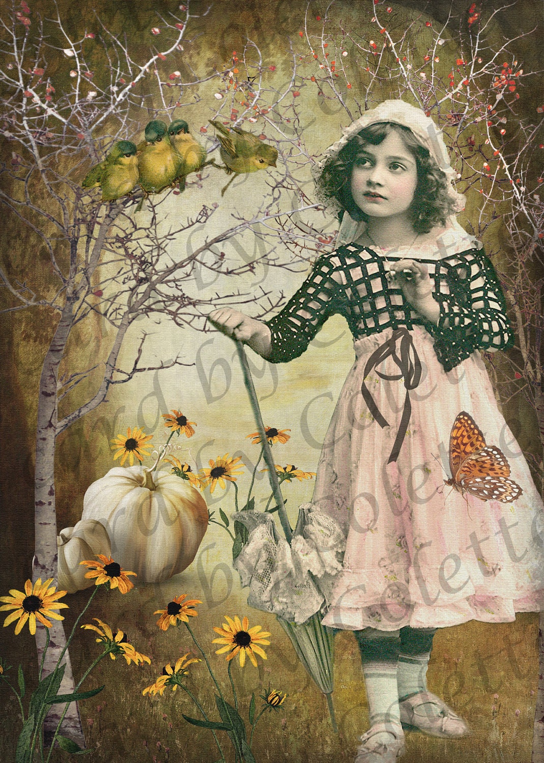 Young girl with her Parasol looking at the Birds Digital Collage Greeting Card