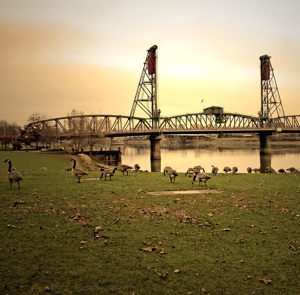 Portland Oregon, Landscape photography, Bridge - Over the River - 8x8 Fine Art Photograph