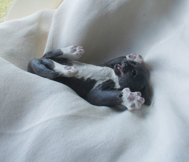 Surprised Kitty "Co-meme-orative" miniature in glazed porcelain, Celebrity Animal II