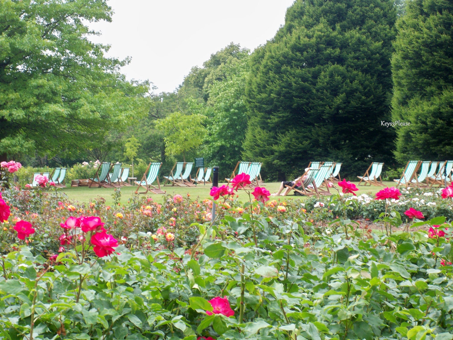 relaxation, regent's park, london, england, postcard, photograph