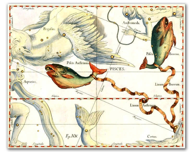 Zodiac Sign Pisces Constellation, vintage celestial map printed on parchment paper. Buy 3 and get 1 FREE