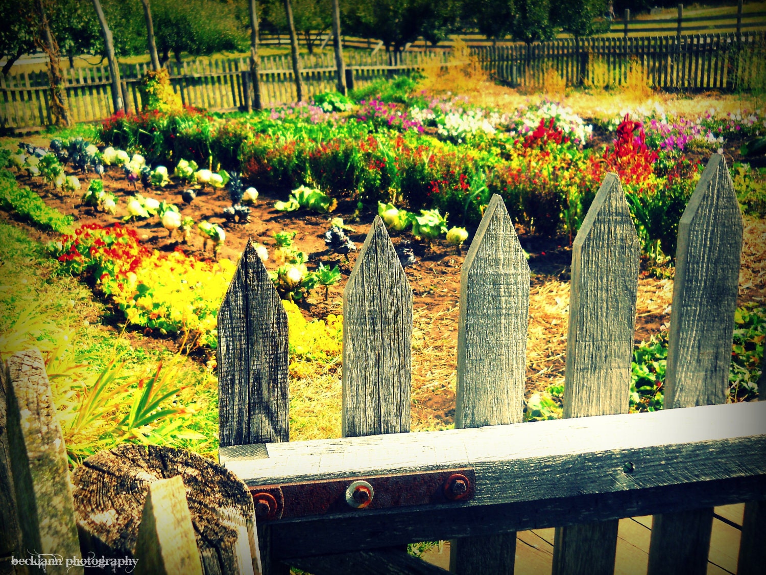 The Secret Garden 8x10 Photography Print