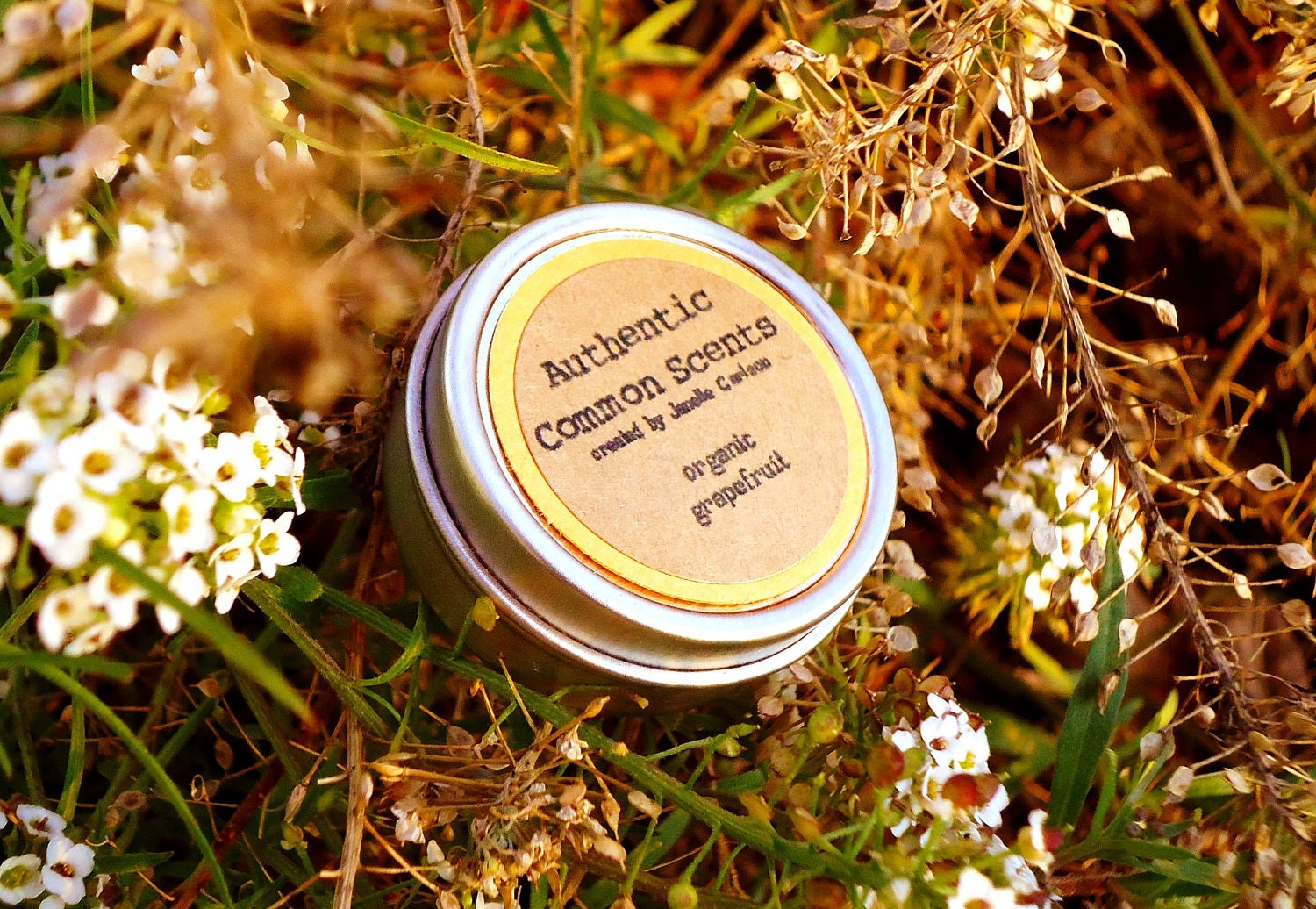 Organic Lip Balm - ORGANIC GRAPEFRUIT, Valentine's Day Gift, Natural Lip Balm, Lip Balm tin, Grapefruit Lip Balm, Moisturizing Balm