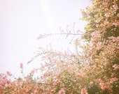 vintage style photography, pink flowers in the sunlight 5x5 iphoneography fine art print affordable home decor wall art