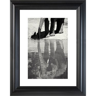 elephant photograph, elephant's reflection, black and white fine art photograph, nature 8 x 12 decor