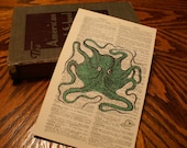 Green octopus on vintage dictionary page
