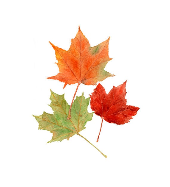 Autumn Leaves Watercolor Painting - Art Print - Fall Foliage Maple Leaf - Watercolour