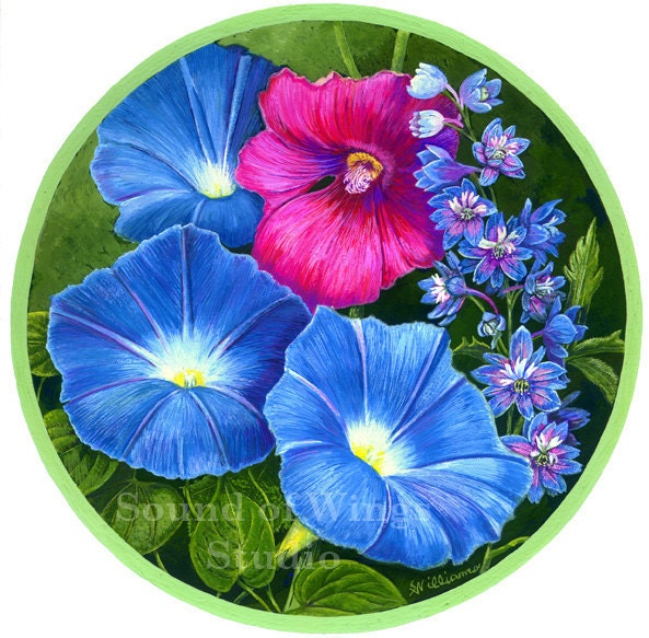 Morning Glory 8 inch circle Archival Art Print