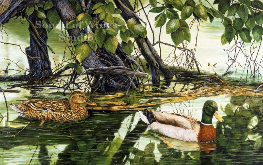 Mallards on the St. Joseph River 10" x 16" Archival Art Print