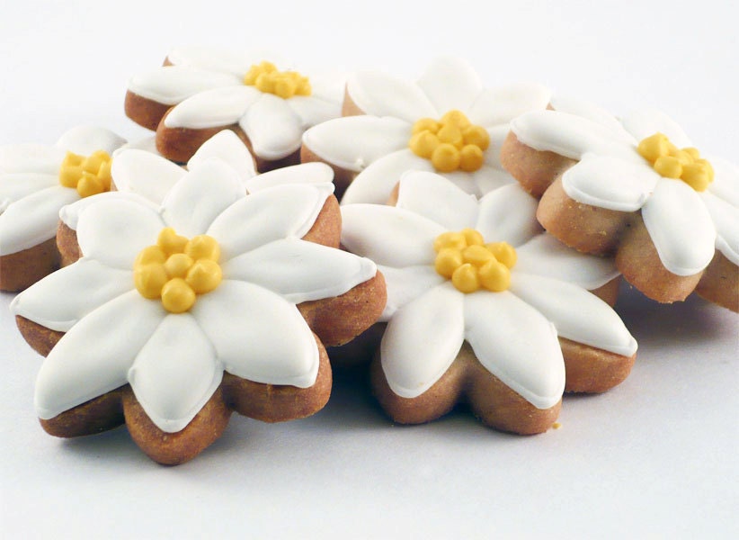 Decorated Cookies - Daisies - 1 dozen