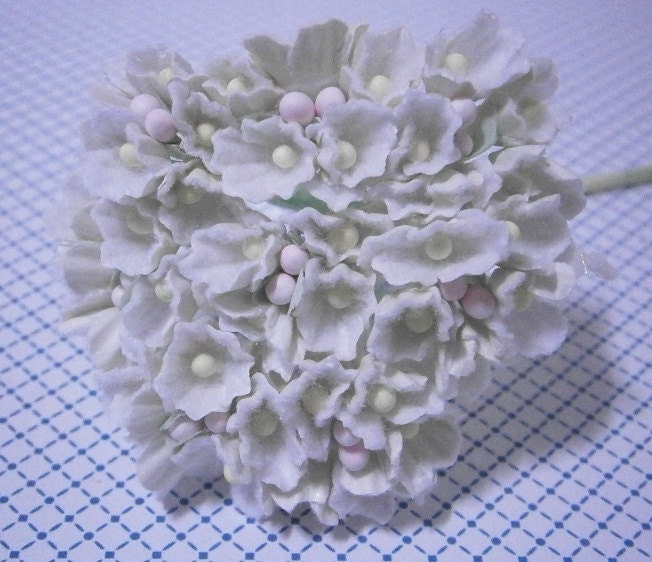 Forget Me Nots Flowers - White
