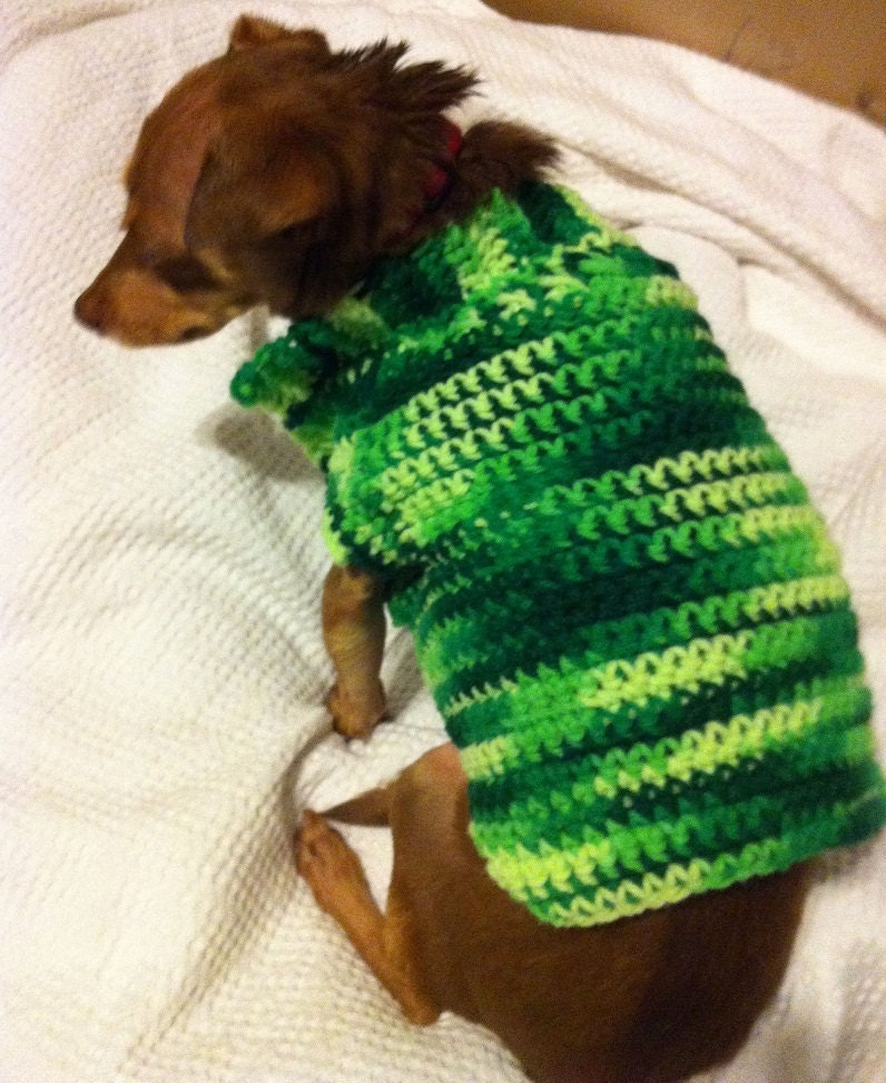 Crochet Green Small Dog Sweater