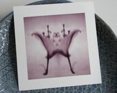 Rorschach Fine Art Photography, Abstract flower Polaroid Print