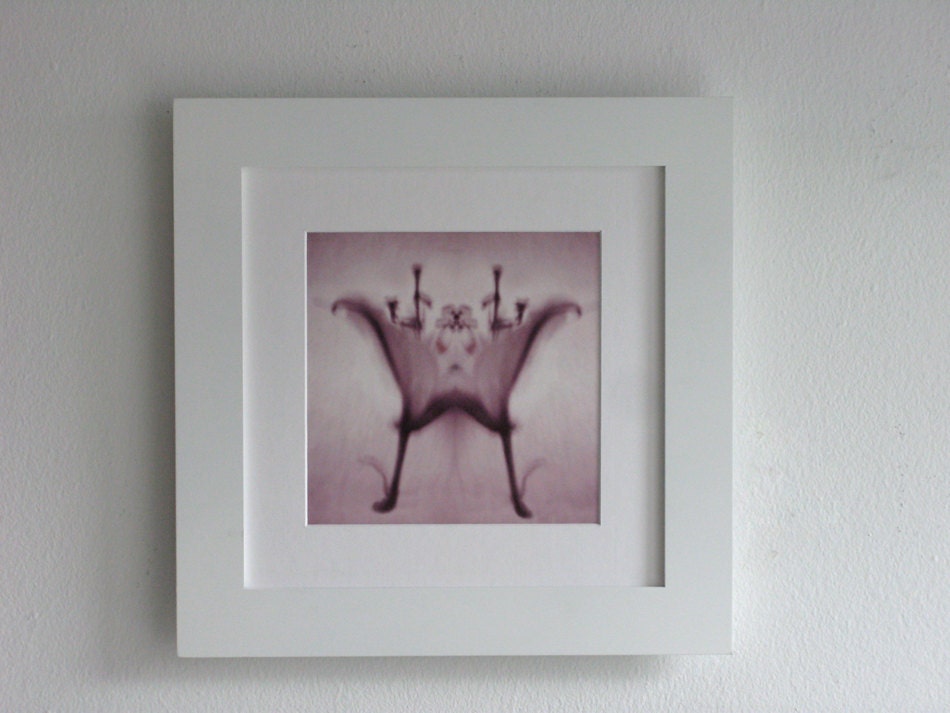 Abstract Flower Art, Polaroid Photo, Rorschach Art