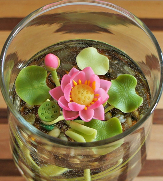 RESERVED - Miniature Pink Lotus Water Lily Terrarium in Repurposed Glass Vase