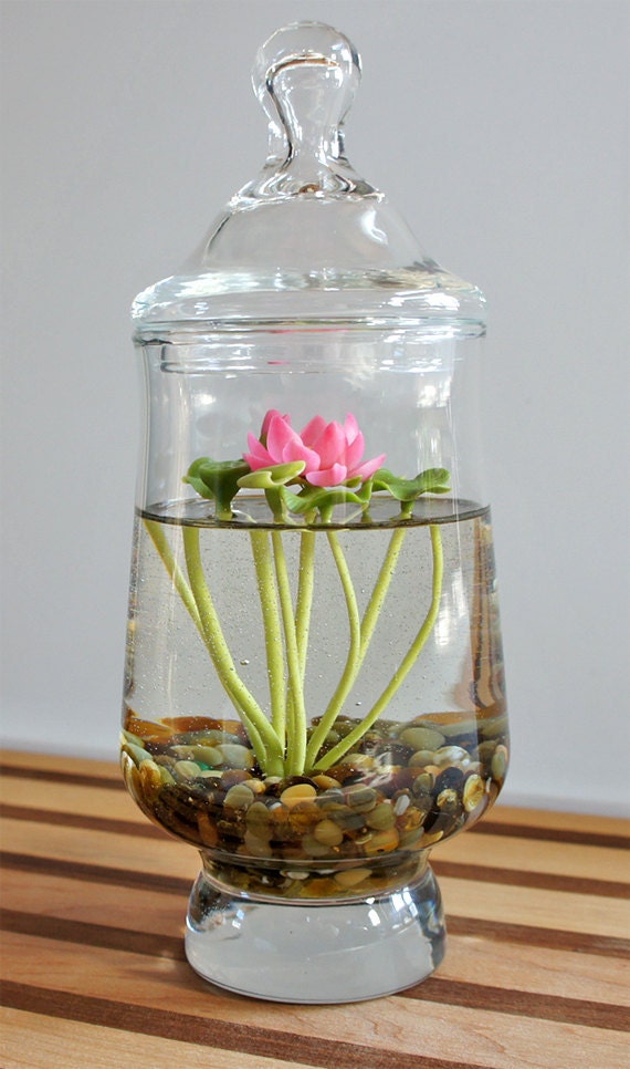 RESERVED - Miniature Pink Lotus Water Lily Terrarium in Repurposed Glass Vase