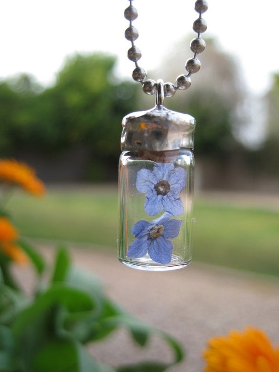 Forget Me Not Glass Vial Pendant with Real Forget Me not Flowers
