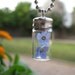 Forget Me Not Glass Vial Pendant with Real Forget Me not Flowers