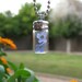 Forget Me Not Glass Vial Pendant with Real Forget Me not Flowers
