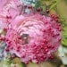 Pink Necklace - Floating Pearl Necklace Choker - Handmade Fashion Jewellry