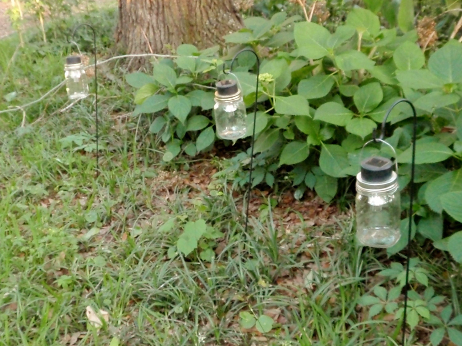 Mason Jar Solar Lanterns Centerpiece or Path Lighting Rustic Wedding Decor