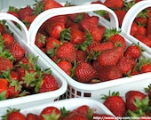 Stawberry Picking Fine Art Print 8" x 10"