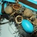 Spring Songbird Wreath: 6" Mini-Hickowreath