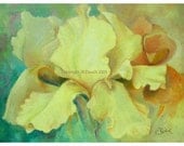 Original Oil Painting - YELLOW IRIS  by Jamie Dauch - Giclee 11x14 wildlife home & garden