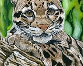 Animal Leopard Painting, Asian animal, wildlife art, big cat painting " Clouded Leopard" 5 x 7 Print