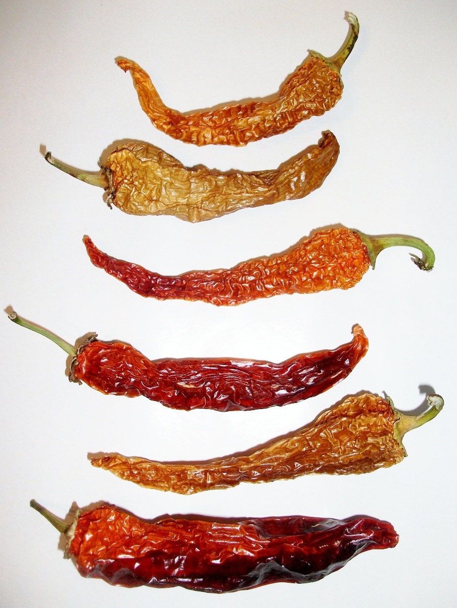 Heirloom Anaheim - 6 Red and Gold Dehydrated Homegrown Long Peppers with Perfect Seeds still Inside