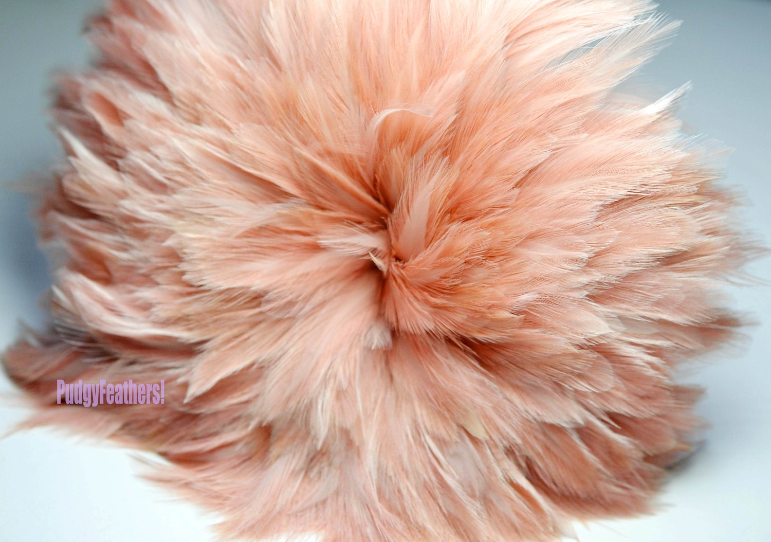 Beautiful Light Flamingo Pink Dyed Rooster Hackle Feathers 4 to 6 inches long -2 Inch Strip - PudgyFeathers