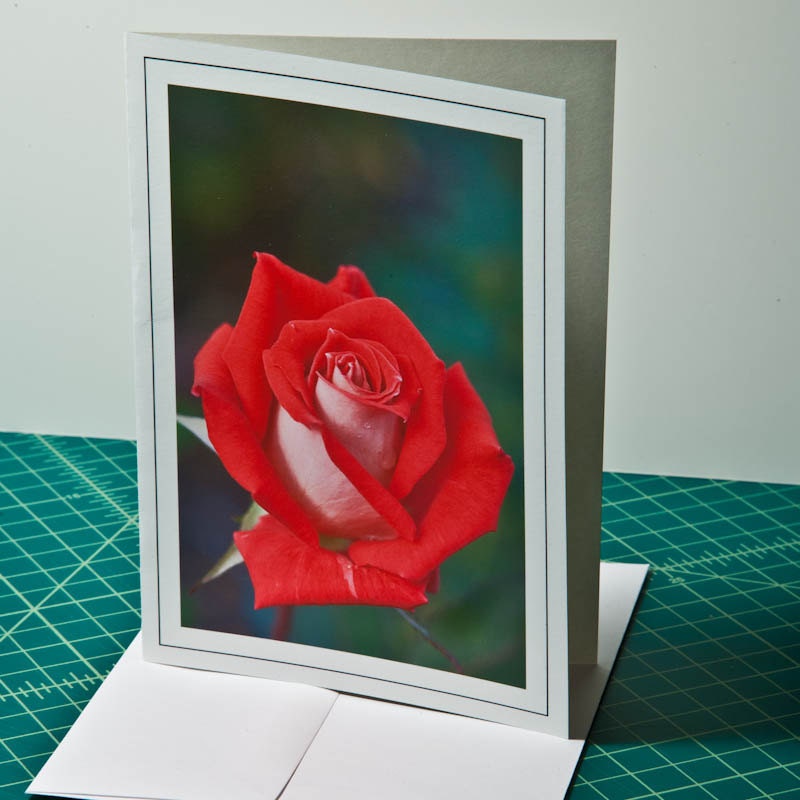Red Rose Blank 5x7 Note Card
