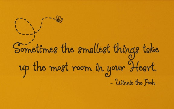 WINNIE the POOH Quote "Sometimes the smallest things take up the most room in your heart." wall vinyl decal