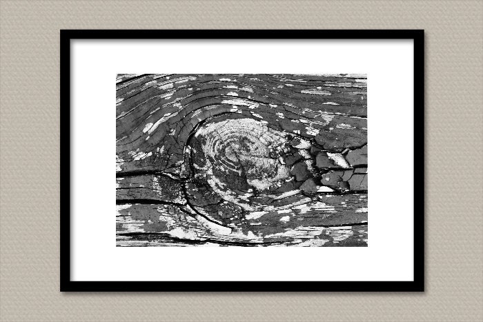 Weathered Wood 11X14 Fine Art Photography Print - Black and White B&W Silver Grey Gray Neutral Neutrals Wall Art Home Decor