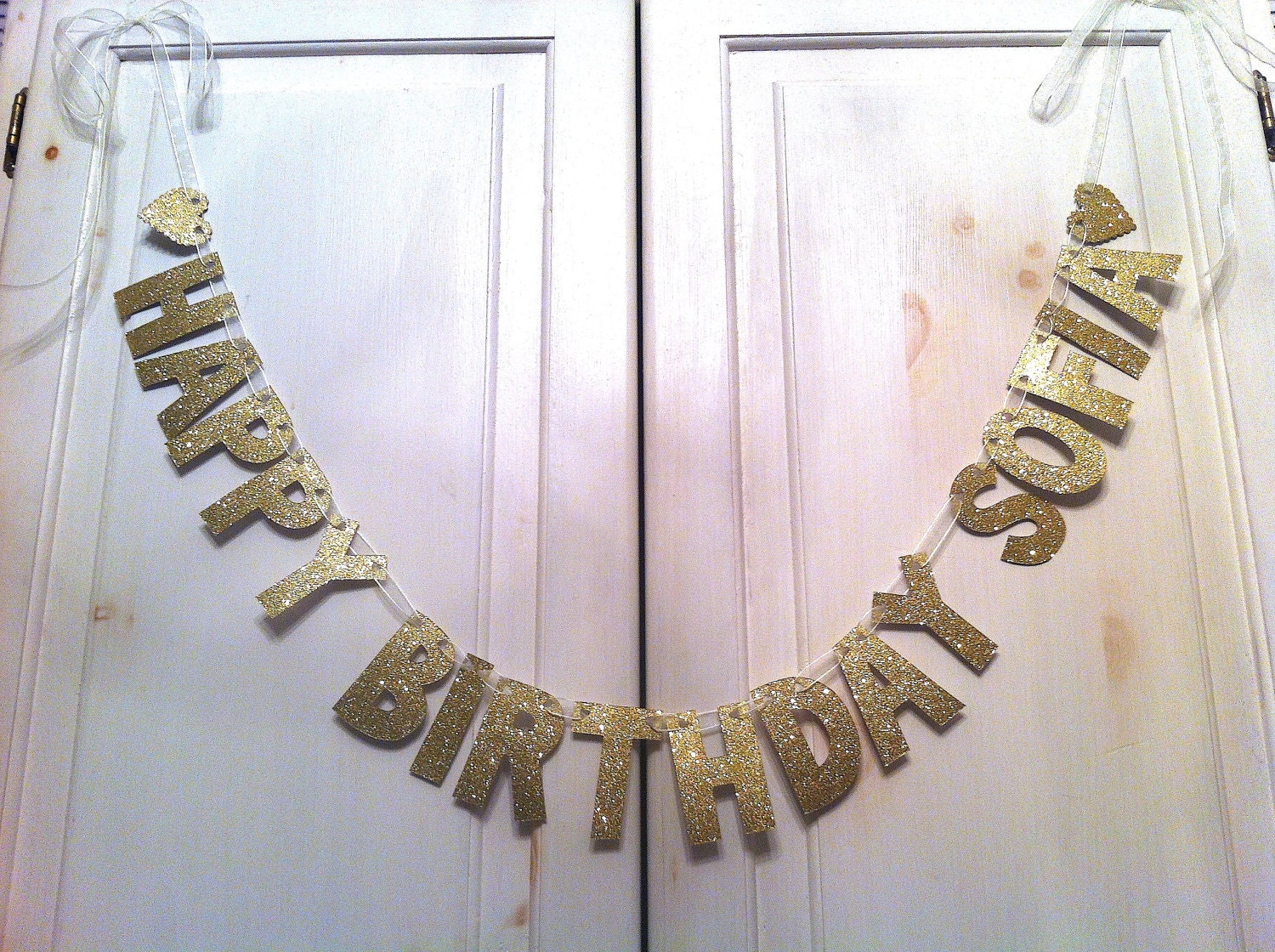 Custom Happy Birthday Banner -- Birthday Party Decoration / Photo Prop