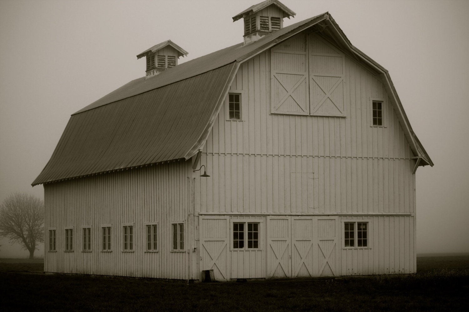 White Barn, Fog and Oak Tree, Historical Barn, Linn County Oregon, His Majesty, Oak Tree, Farm Decor, 5 x 7 black and white photograph, FPOE