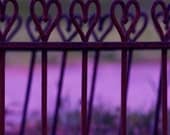 Heart Photography, Purple Hearts, Garden, Wrought Iron, Cast Iron Hearts, Landscape photography, 5 x 7 Photograph, FPOE