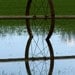 Farm Equipment / Wheel Irrigation / Fine Art Photography / 8x10