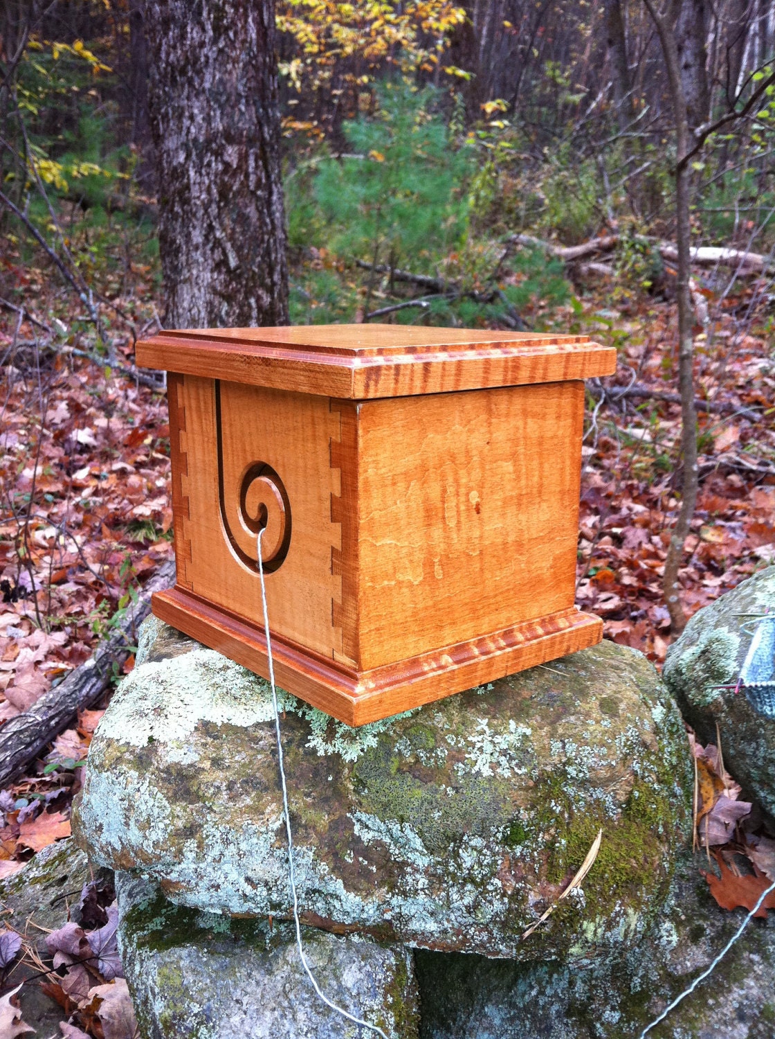 Jumbo Curley Maple Yarn Box