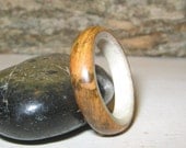 Sugar Maple Burl lined with Antler, Custom Wood and Antler Ring
