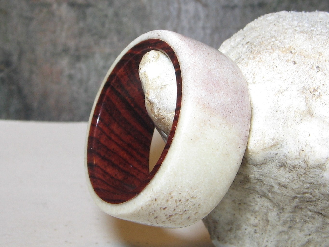 Moose Antler Lined With  Cocobolo, Custom Antler and Wood Ring