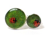 Ladybug on grass resin ring. Resin jewelry.Modern Jewelry. adjustable ring, cocktail, animal ring, terrarium