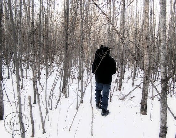 DECEMBER SALE A Winter Walk to the River 11" X 14" Print. Birch Trees, Walking, Winter Scene, River Walk - BeneathNorthernSkies