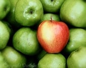Food Photograph Apples Red and Green Square--Kitchen Photography 10x10