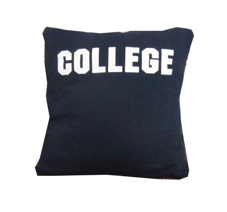 T-shirt Pillow - Animal House College movie cult classic recycled t-shirt pillow throw