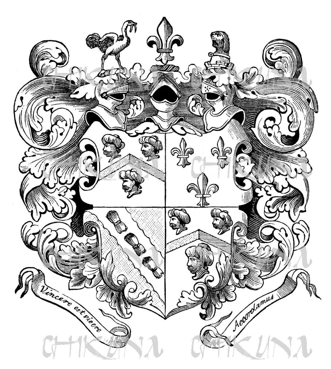 heraldic lily